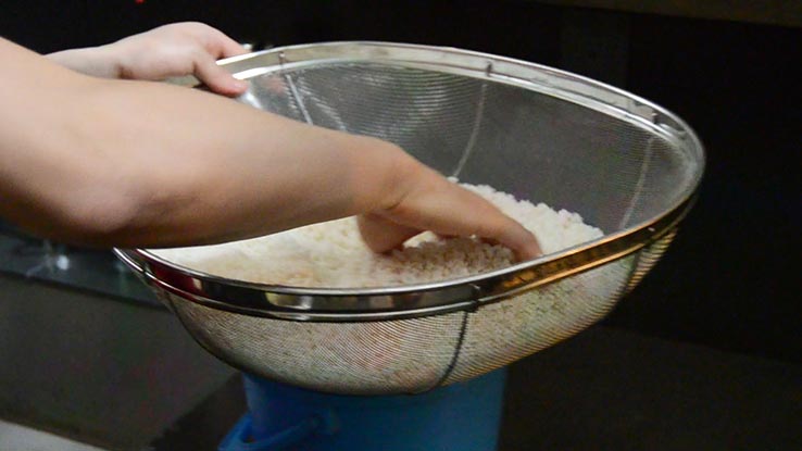 麹づくりワークショップ